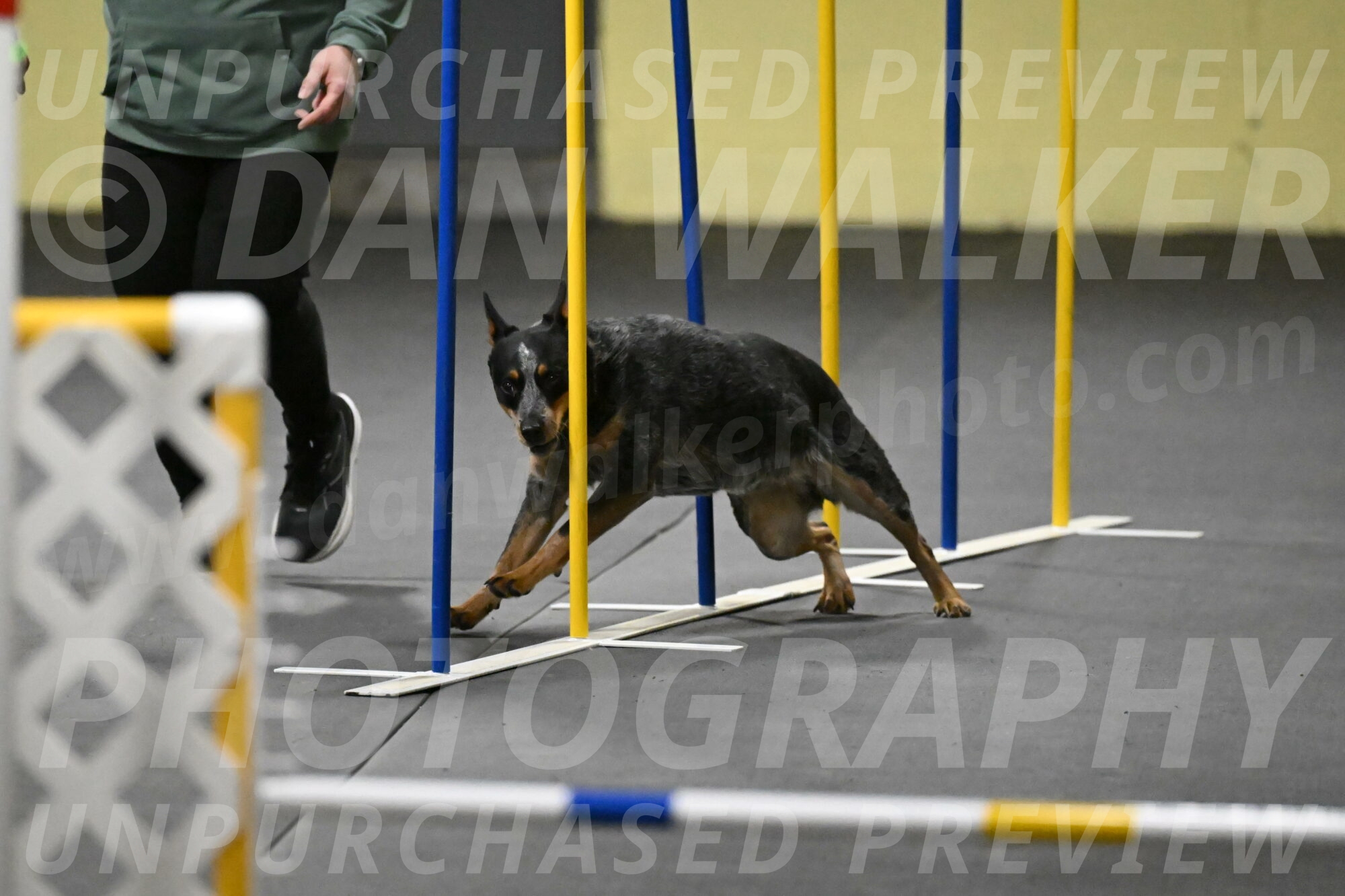 Ellie-Tirpak-Chylik-11088