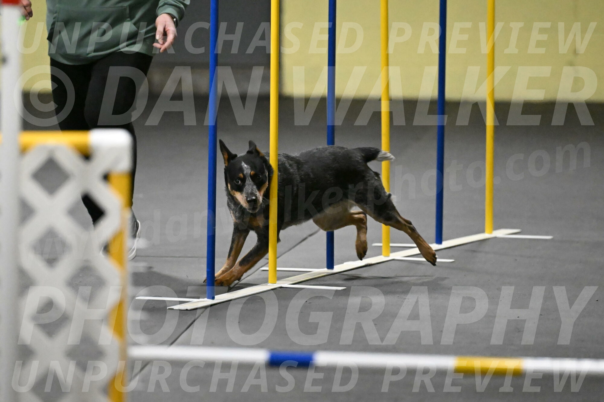 Ellie-Tirpak-Chylik-11089