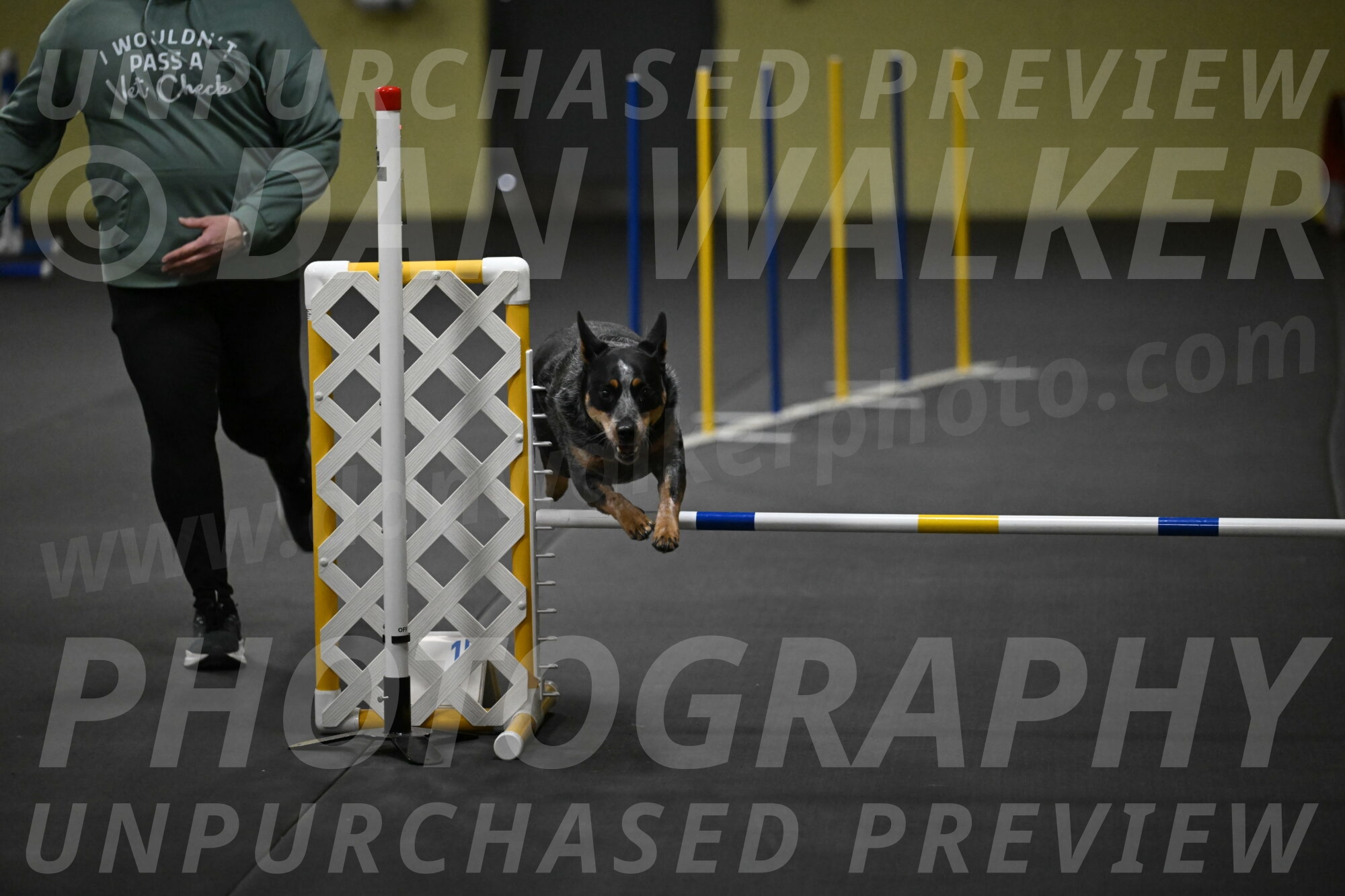 Ellie-Tirpak-Chylik-11092