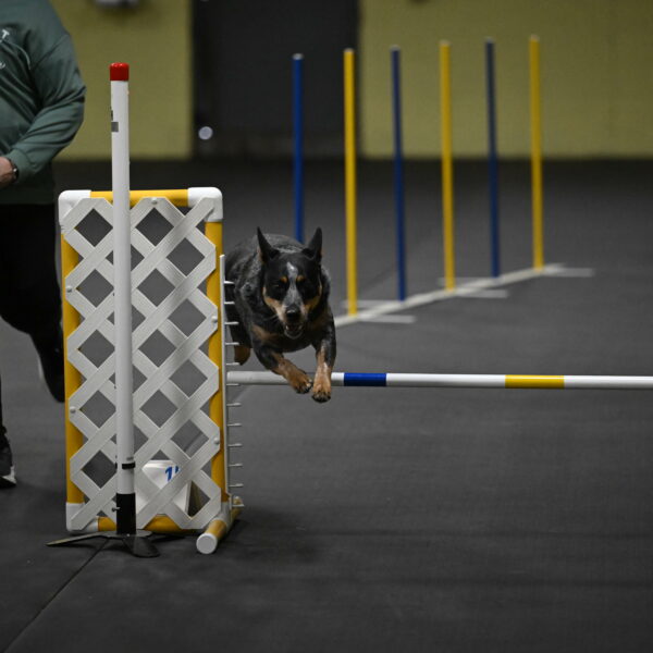 Ellie-Tirpak-Chylik-11092