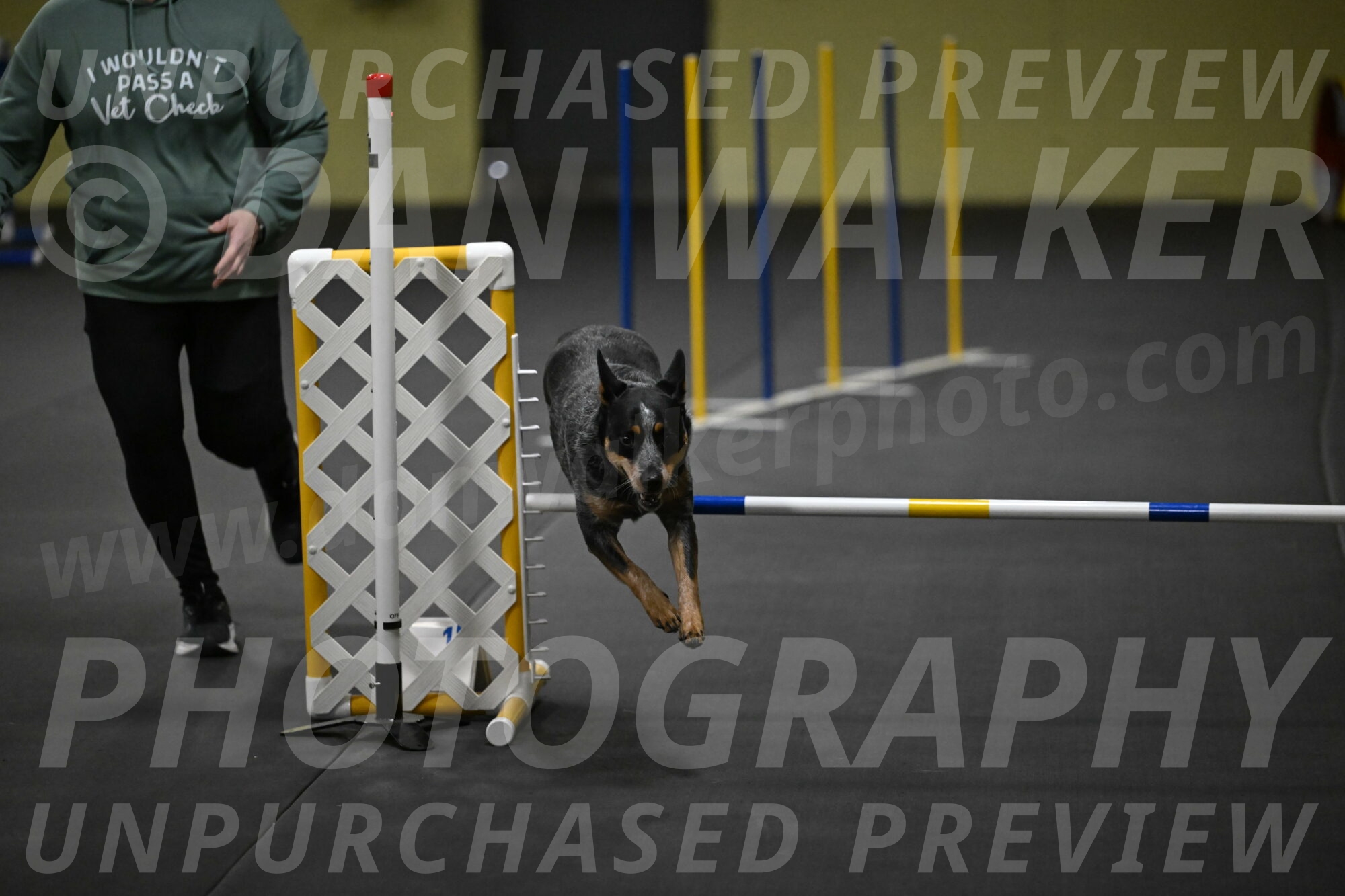 Ellie-Tirpak-Chylik-11093