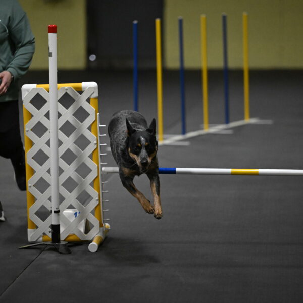 Ellie-Tirpak-Chylik-11093