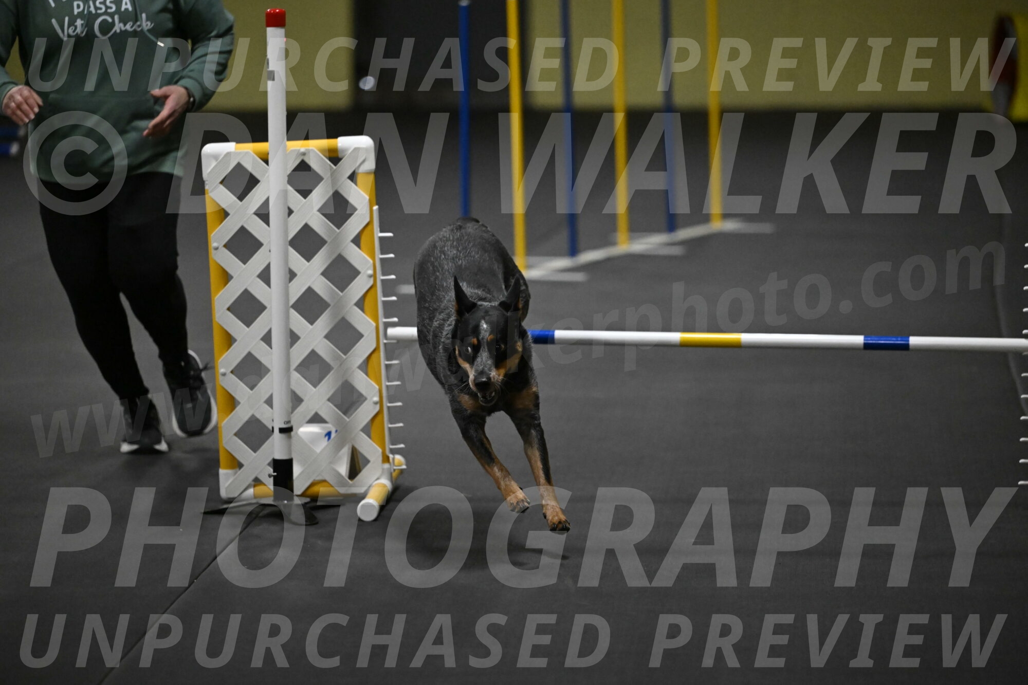 Ellie-Tirpak-Chylik-11094