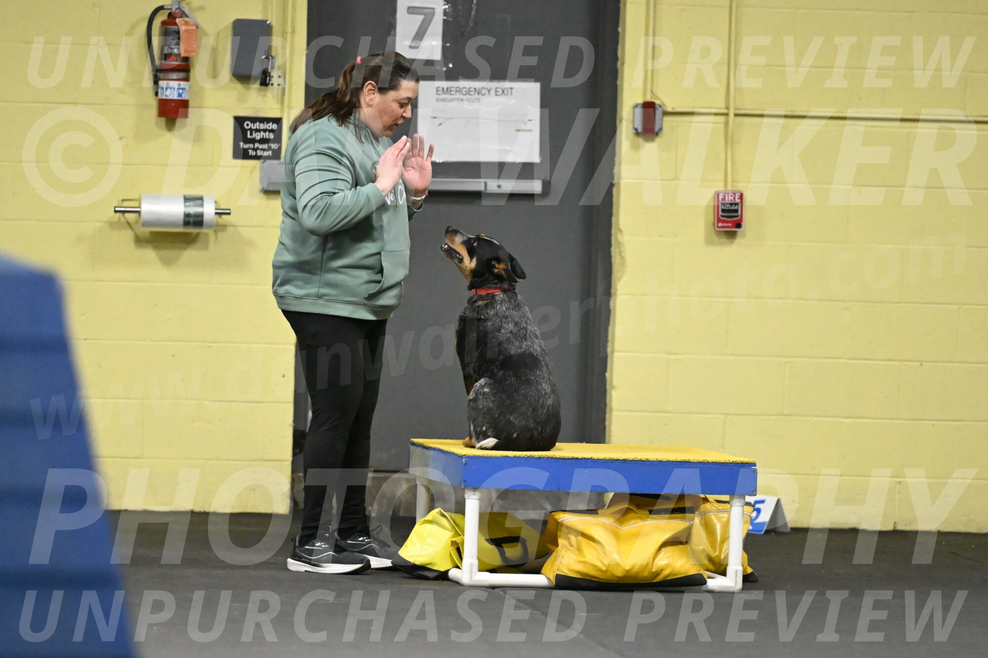 Ellie-Tirpak-Chylik-11099