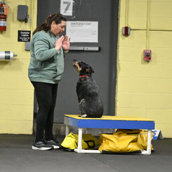 Ellie-Tirpak-Chylik-11099