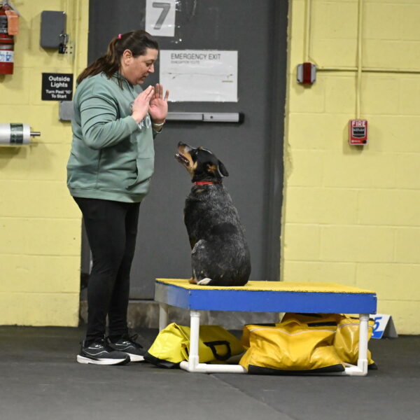 Ellie-Tirpak-Chylik-11101