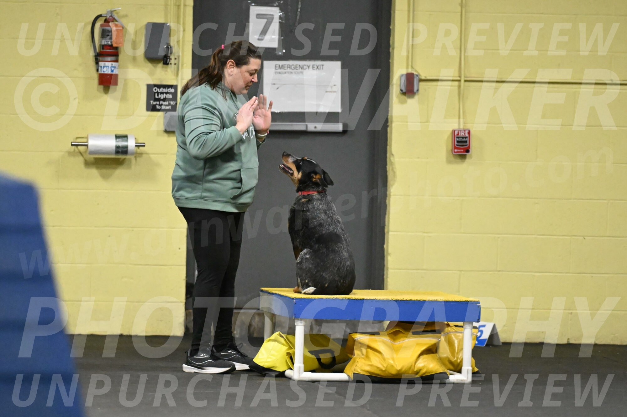 Ellie-Tirpak-Chylik-11103