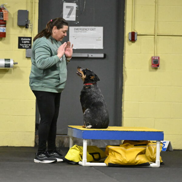 Ellie-Tirpak-Chylik-11103