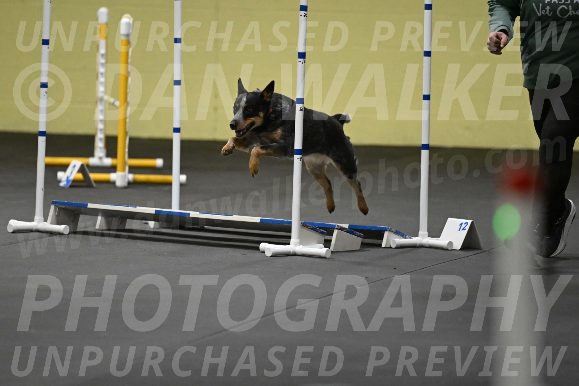 Ellie-Tirpak-Chylik-11141