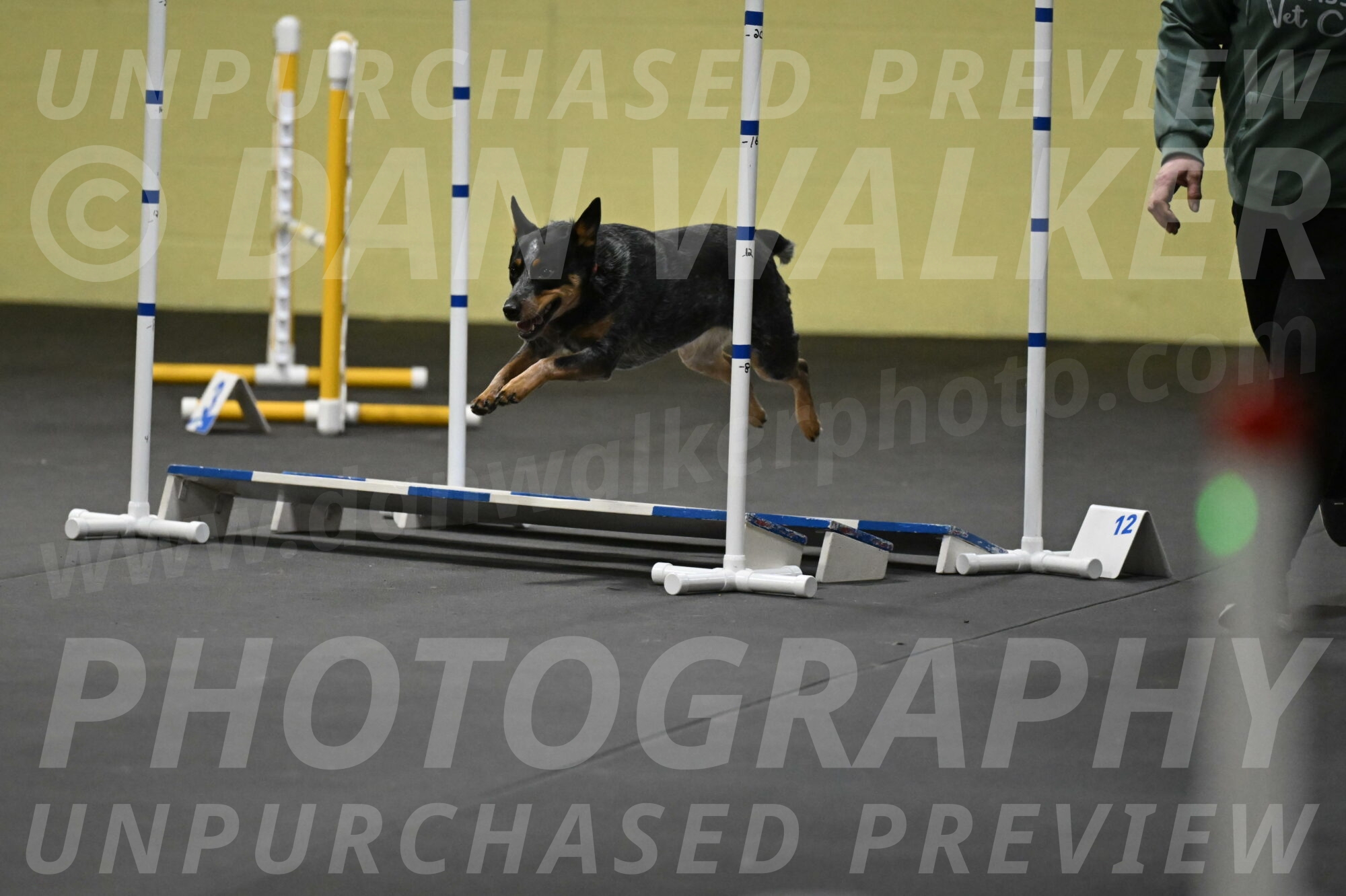 Ellie-Tirpak-Chylik-11142