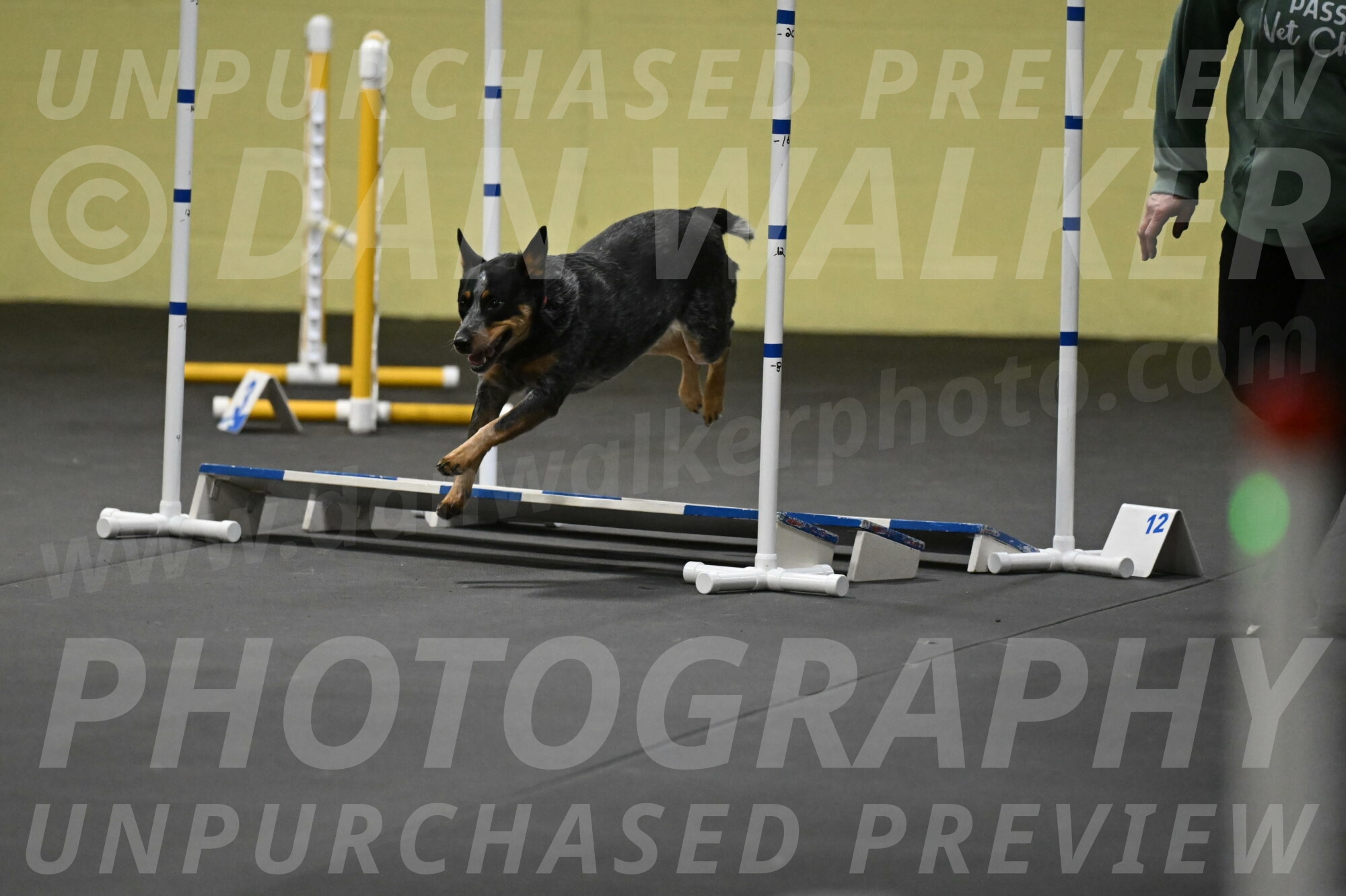 Ellie-Tirpak-Chylik-11143