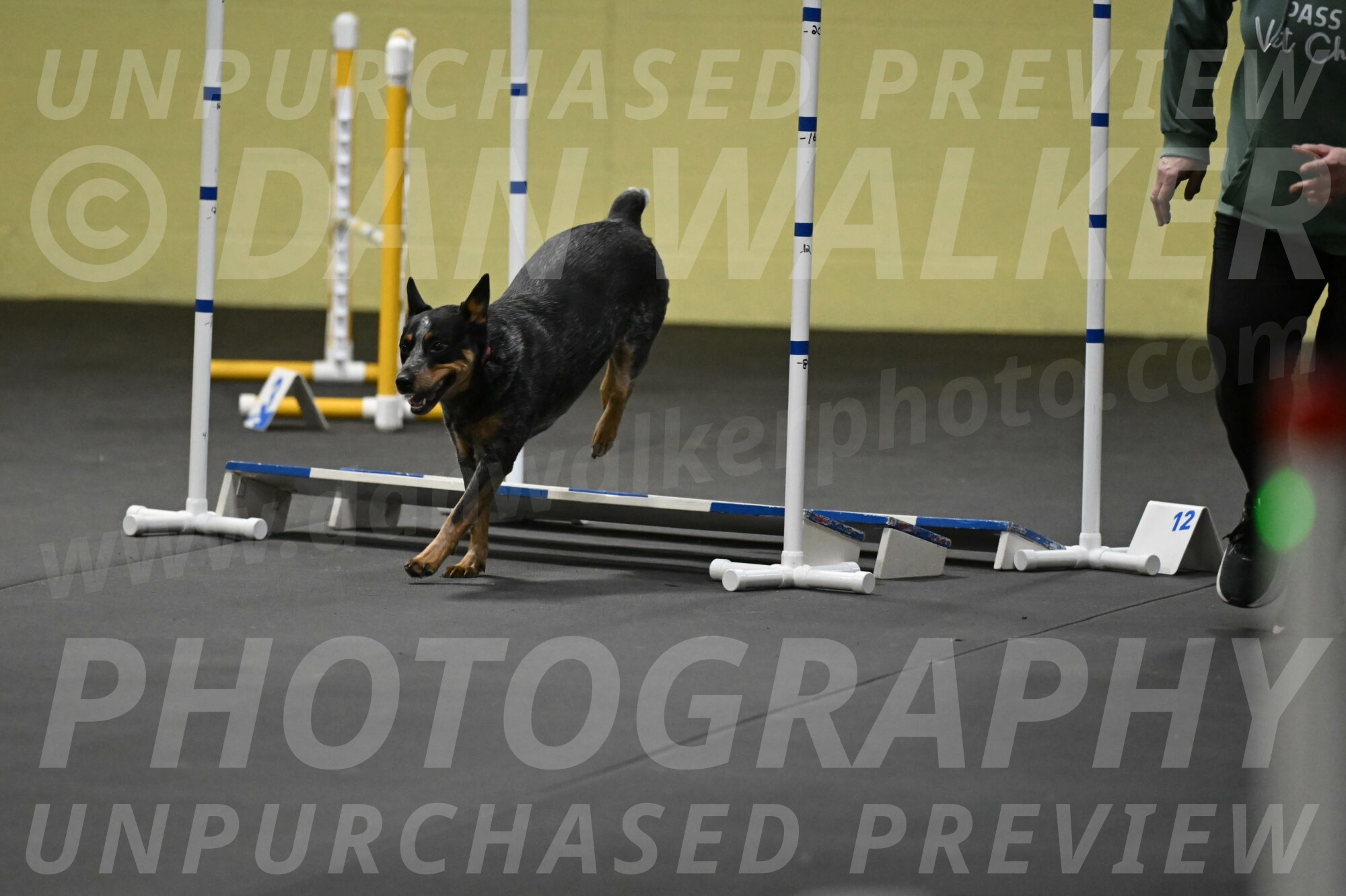 Ellie-Tirpak-Chylik-11144