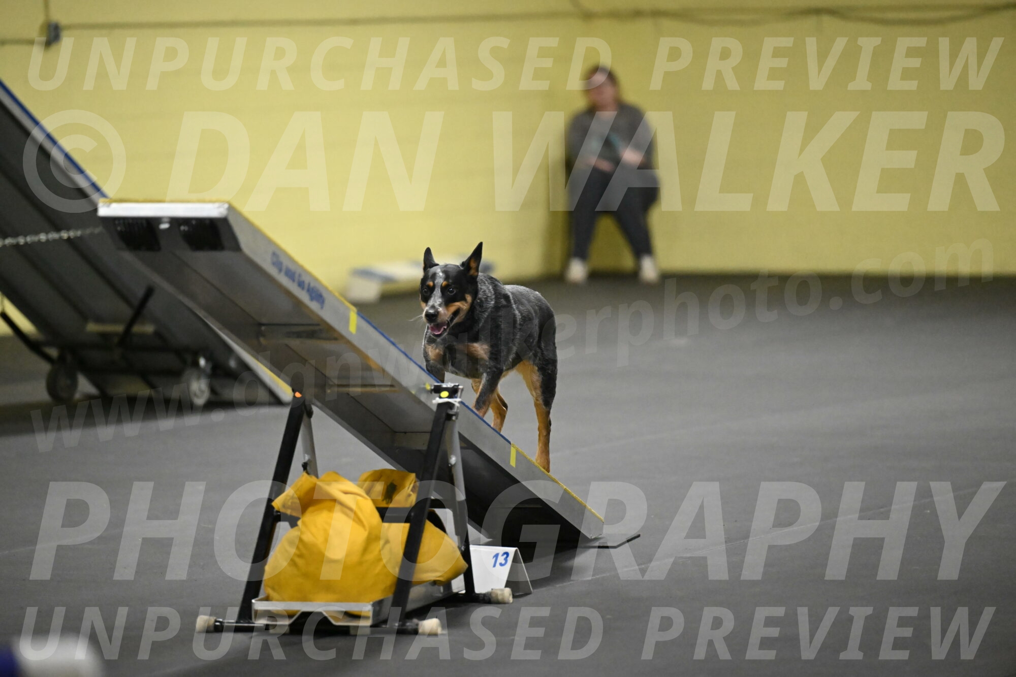 Ellie-Tirpak-Chylik-11146