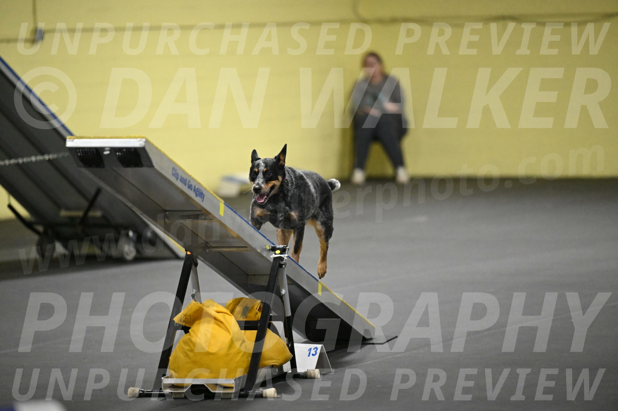 Ellie-Tirpak-Chylik-11147