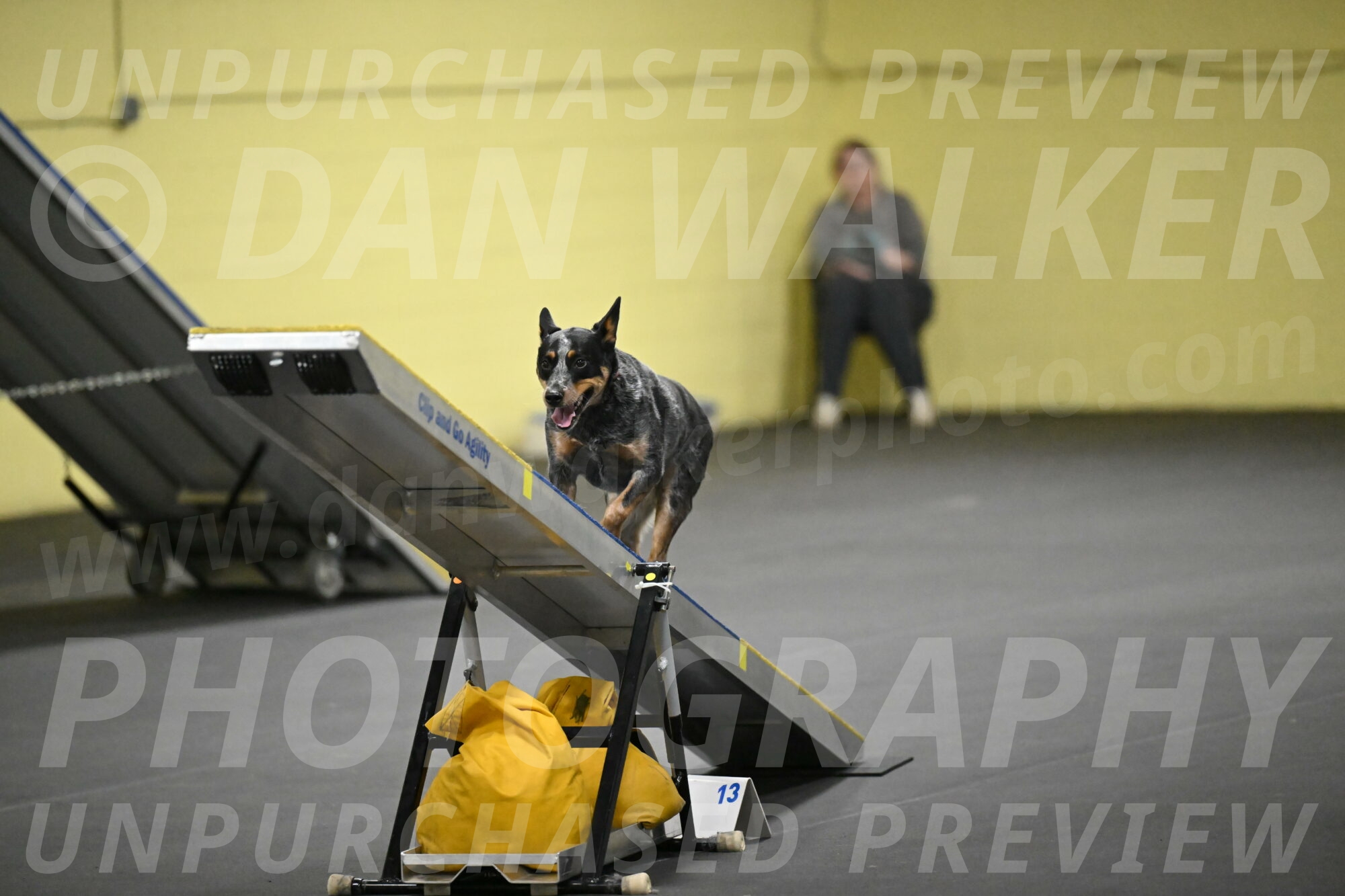 Ellie-Tirpak-Chylik-11148