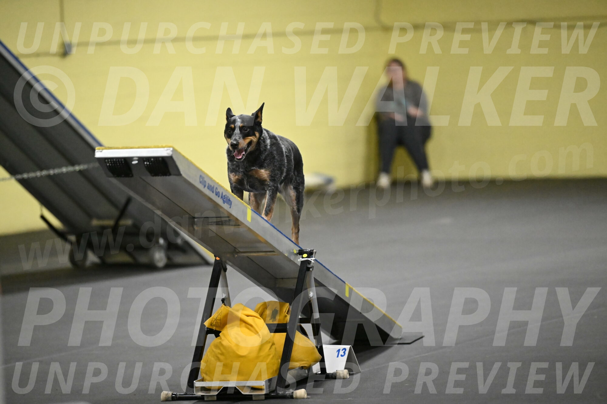 Ellie-Tirpak-Chylik-11150