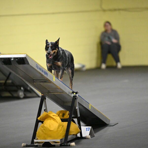 Ellie-Tirpak-Chylik-11150