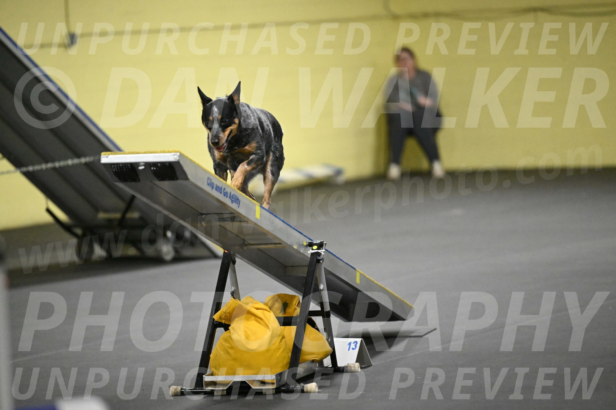 Ellie-Tirpak-Chylik-11152