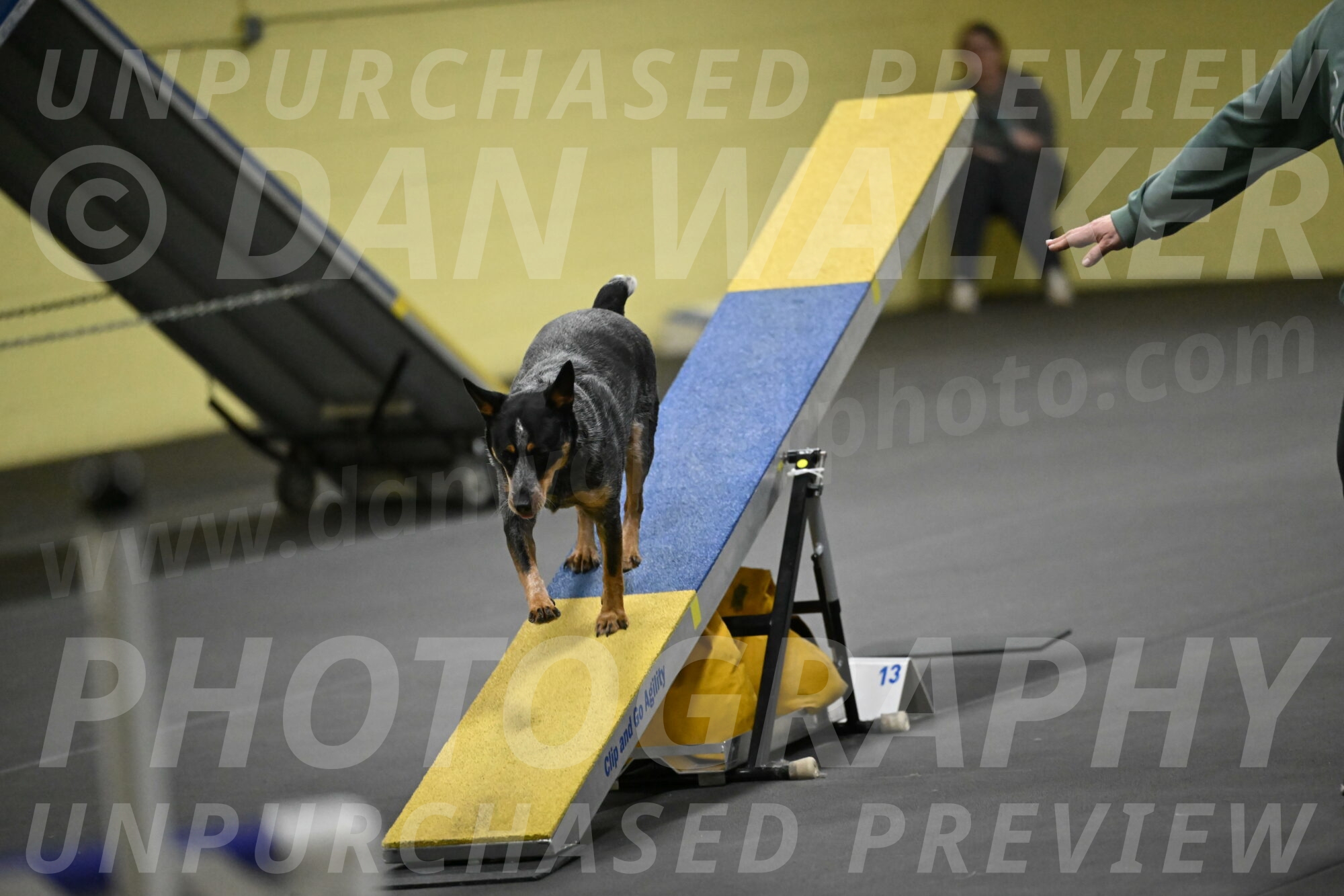 Ellie-Tirpak-Chylik-11157