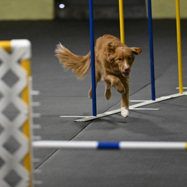 Gracie-Zielinski-09748