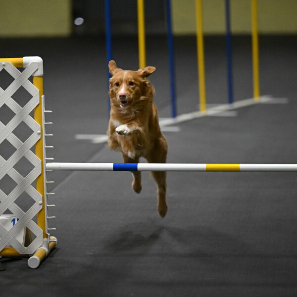 Gracie-Zielinski-09752