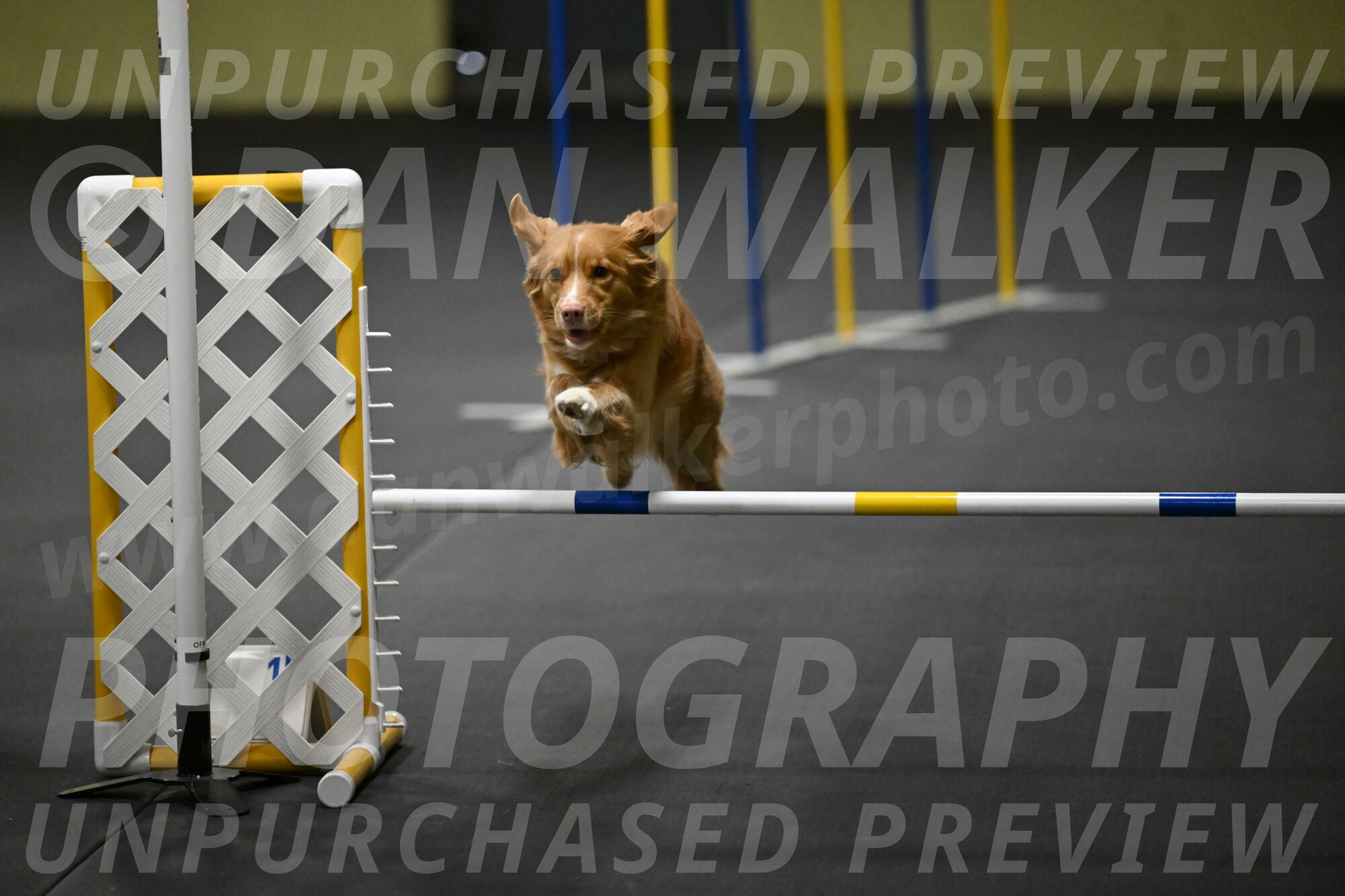 Gracie-Zielinski-09753