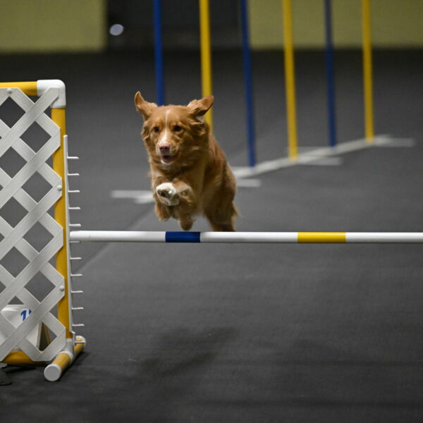 Gracie-Zielinski-09753