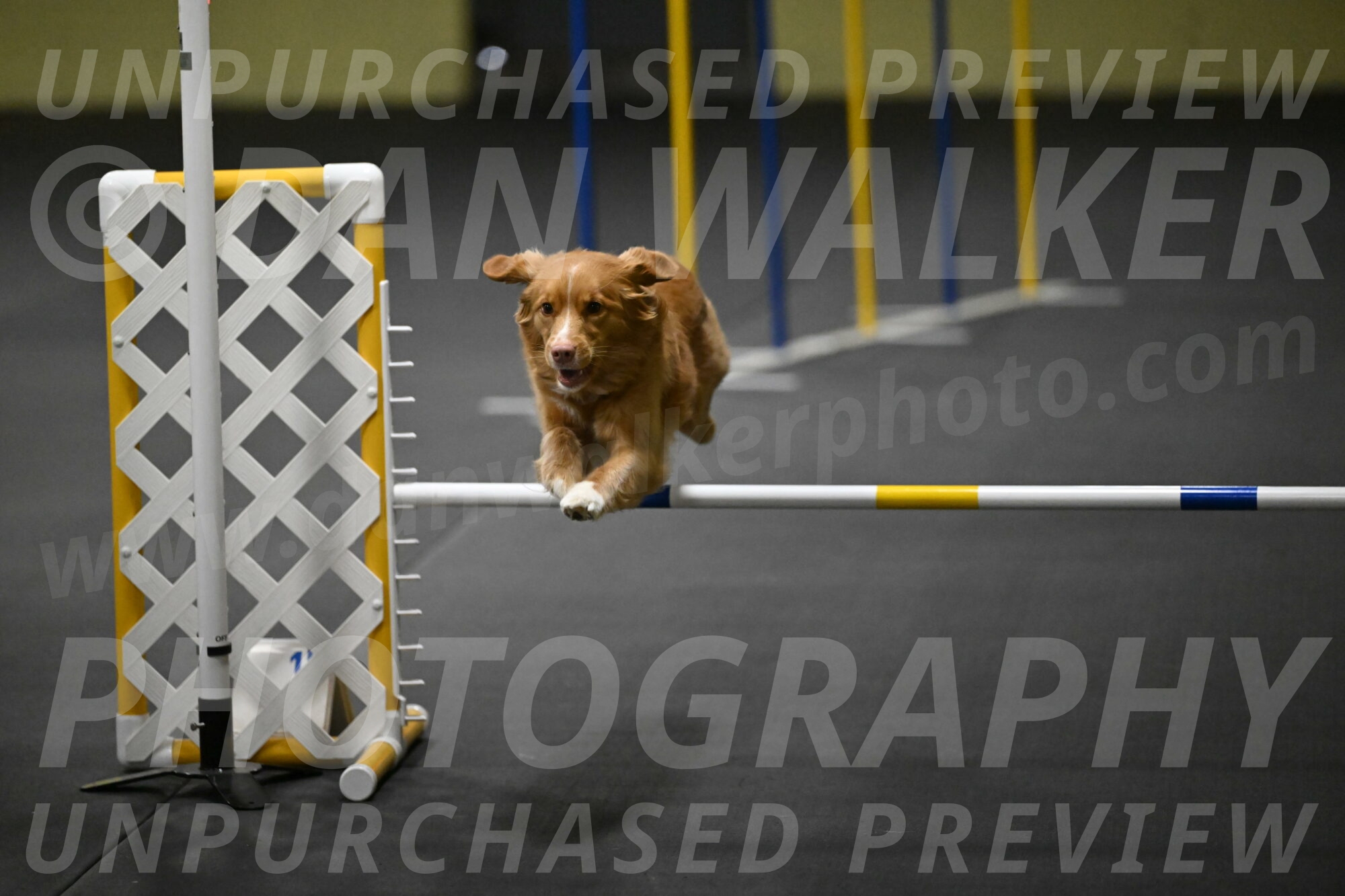 Gracie-Zielinski-09754