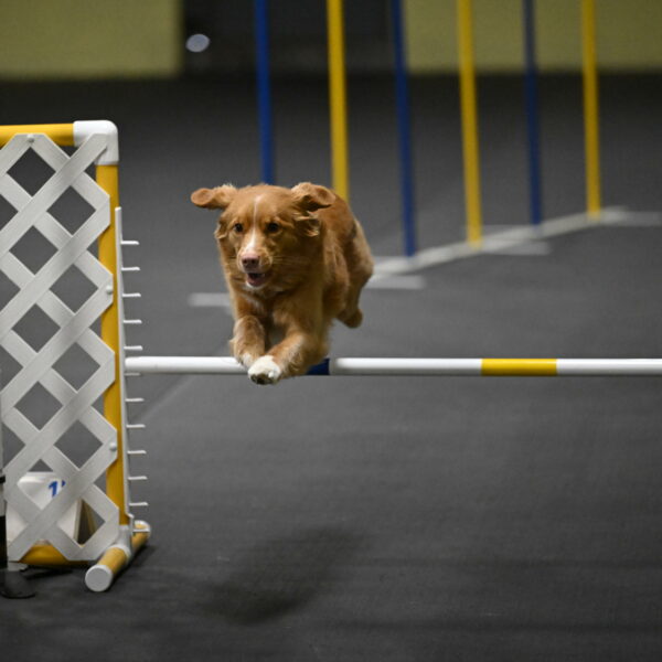 Gracie-Zielinski-09754