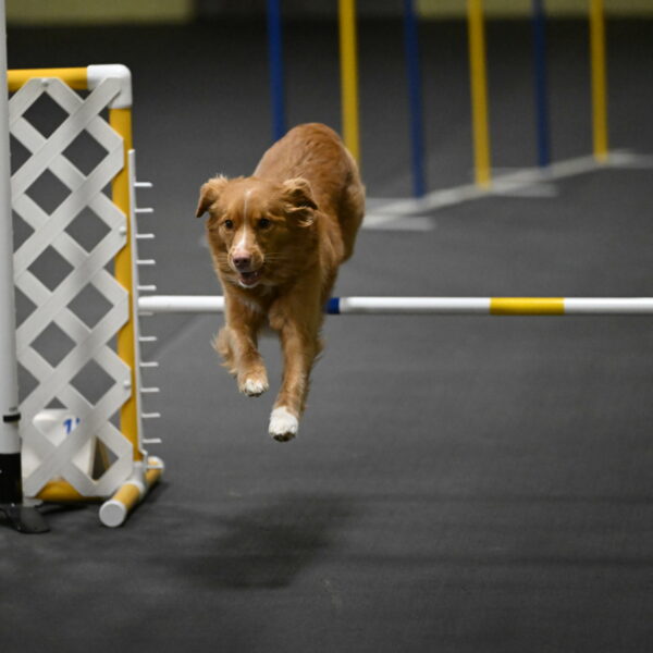 Gracie-Zielinski-09755