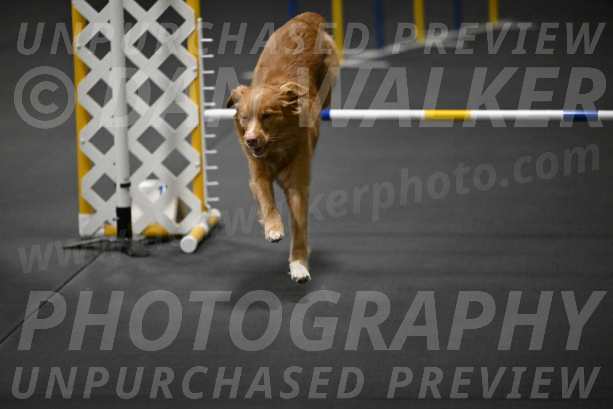 Gracie-Zielinski-09756