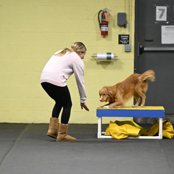 Gracie-Zielinski-09759