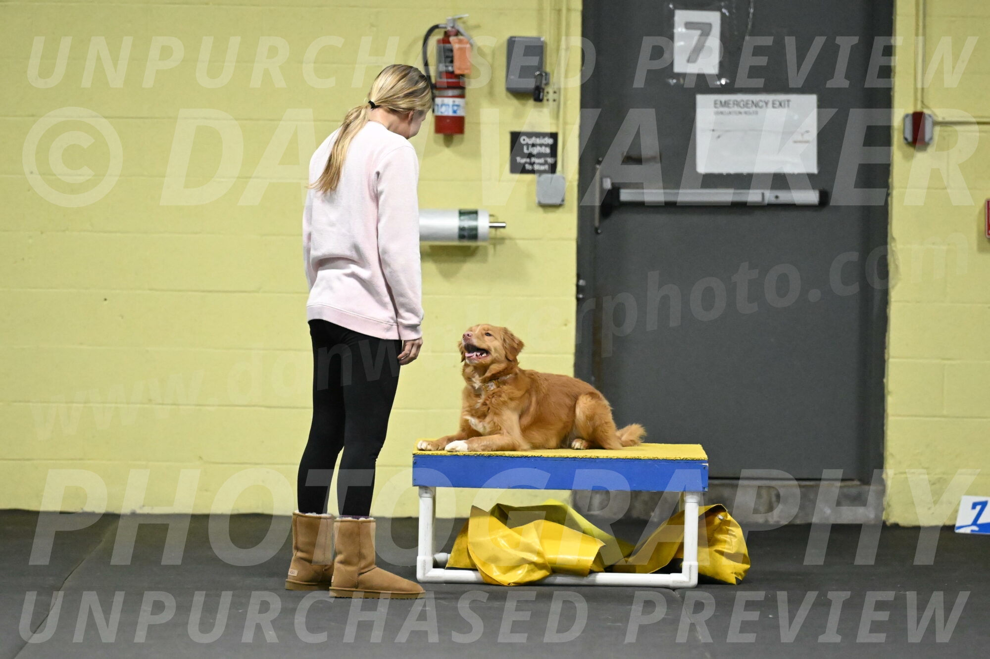 Gracie-Zielinski-09761