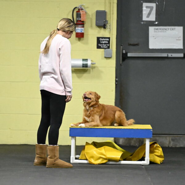 Gracie-Zielinski-09761