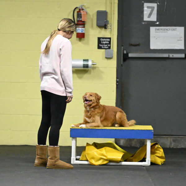 Gracie-Zielinski-09762