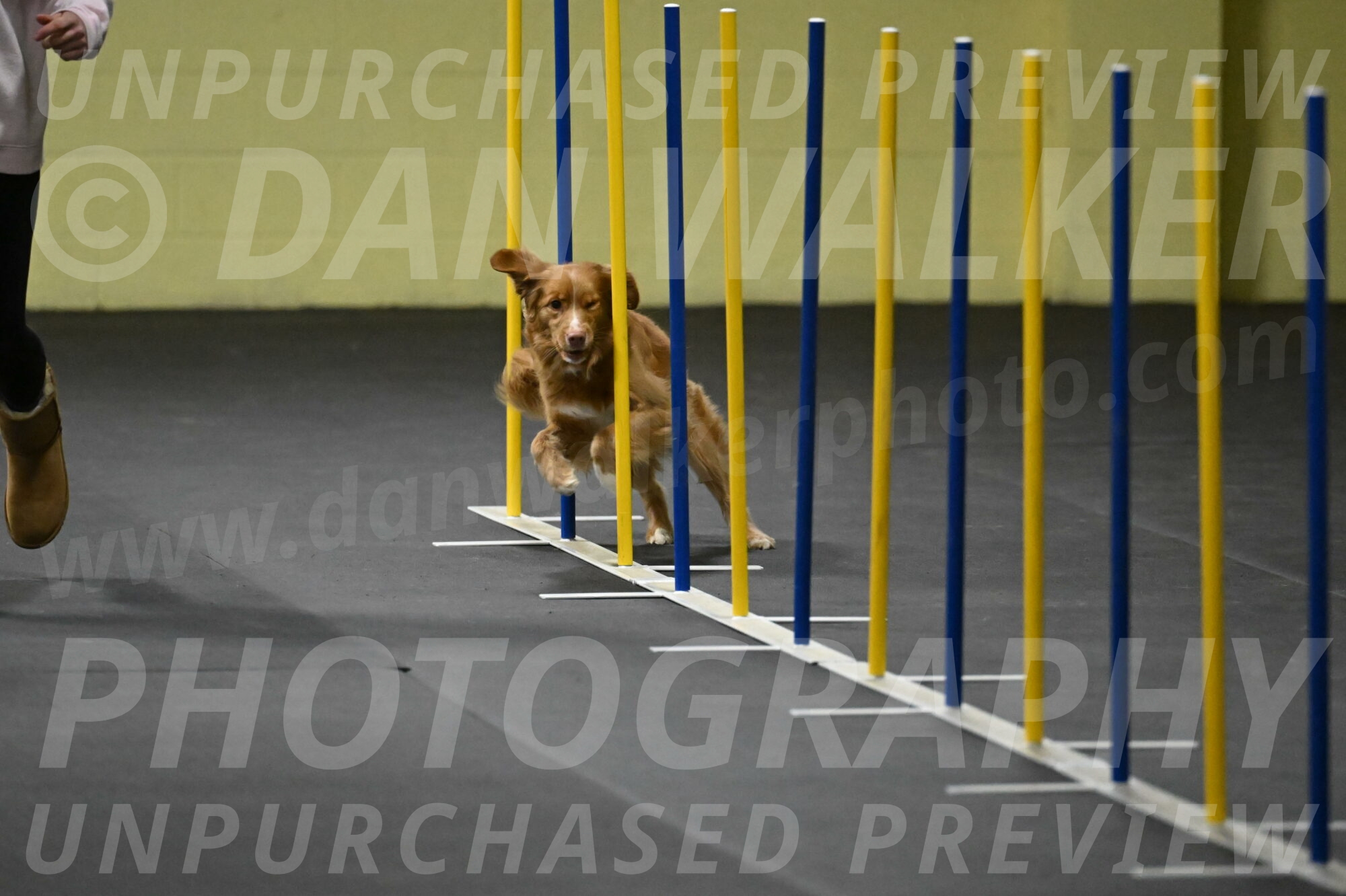 Gracie-Zielinski-09769