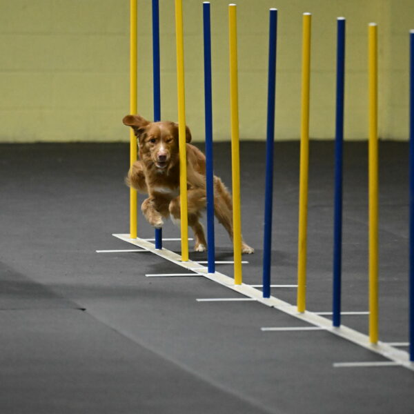 Gracie-Zielinski-09769