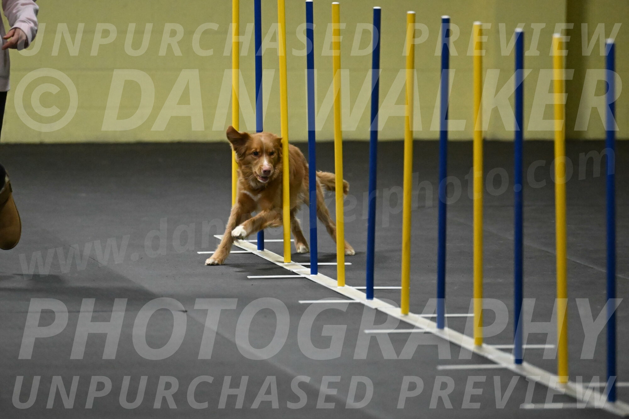 Gracie-Zielinski-09770