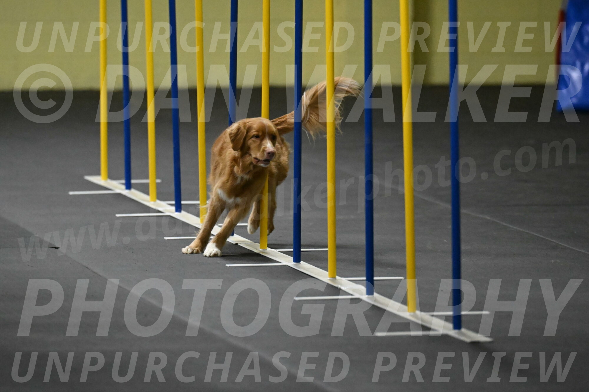 Gracie-Zielinski-09785