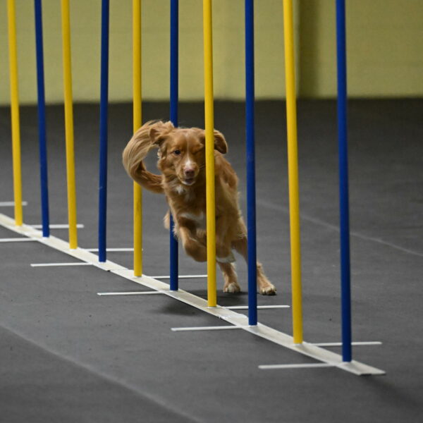 Gracie-Zielinski-09790