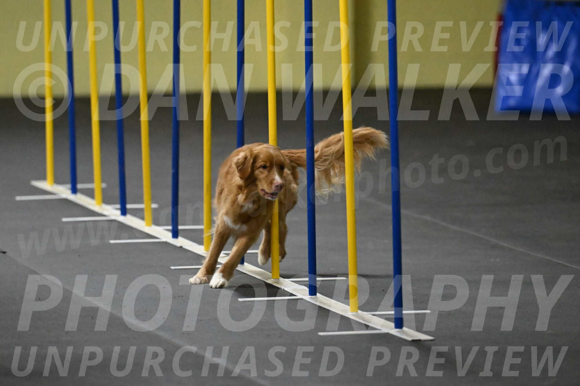 Gracie-Zielinski-09792