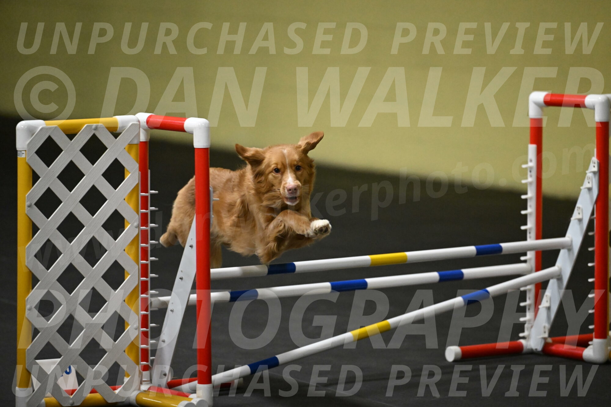 Gracie-Zielinski-09799