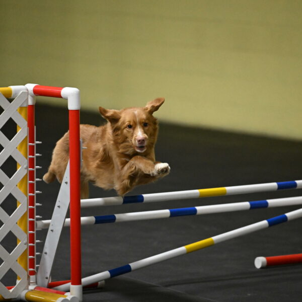 Gracie-Zielinski-09799