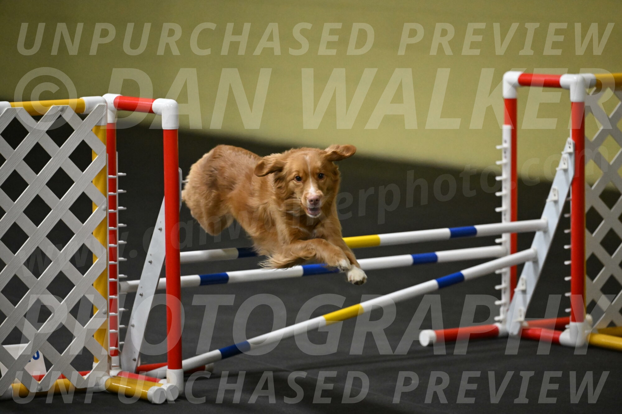 Gracie-Zielinski-09800