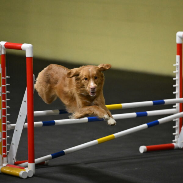 Gracie-Zielinski-09800