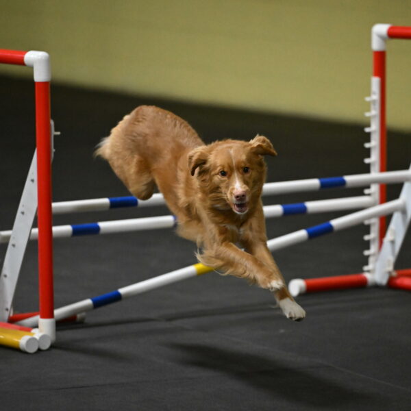 Gracie-Zielinski-09801