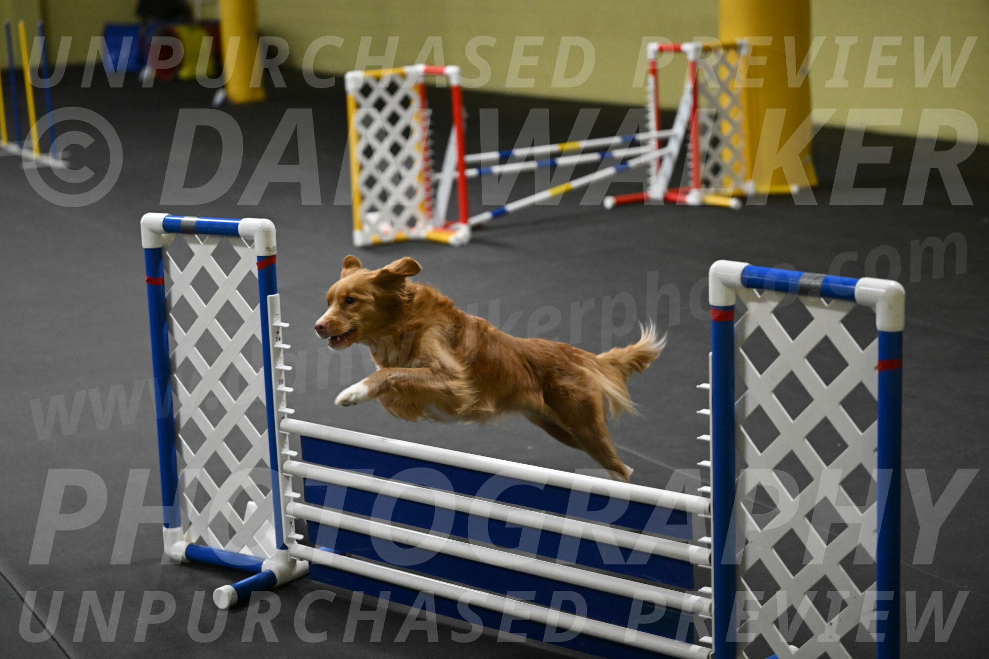 Gracie-Zielinski-09804