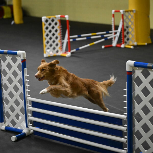 Gracie-Zielinski-09804