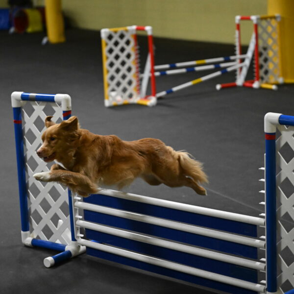 Gracie-Zielinski-09805