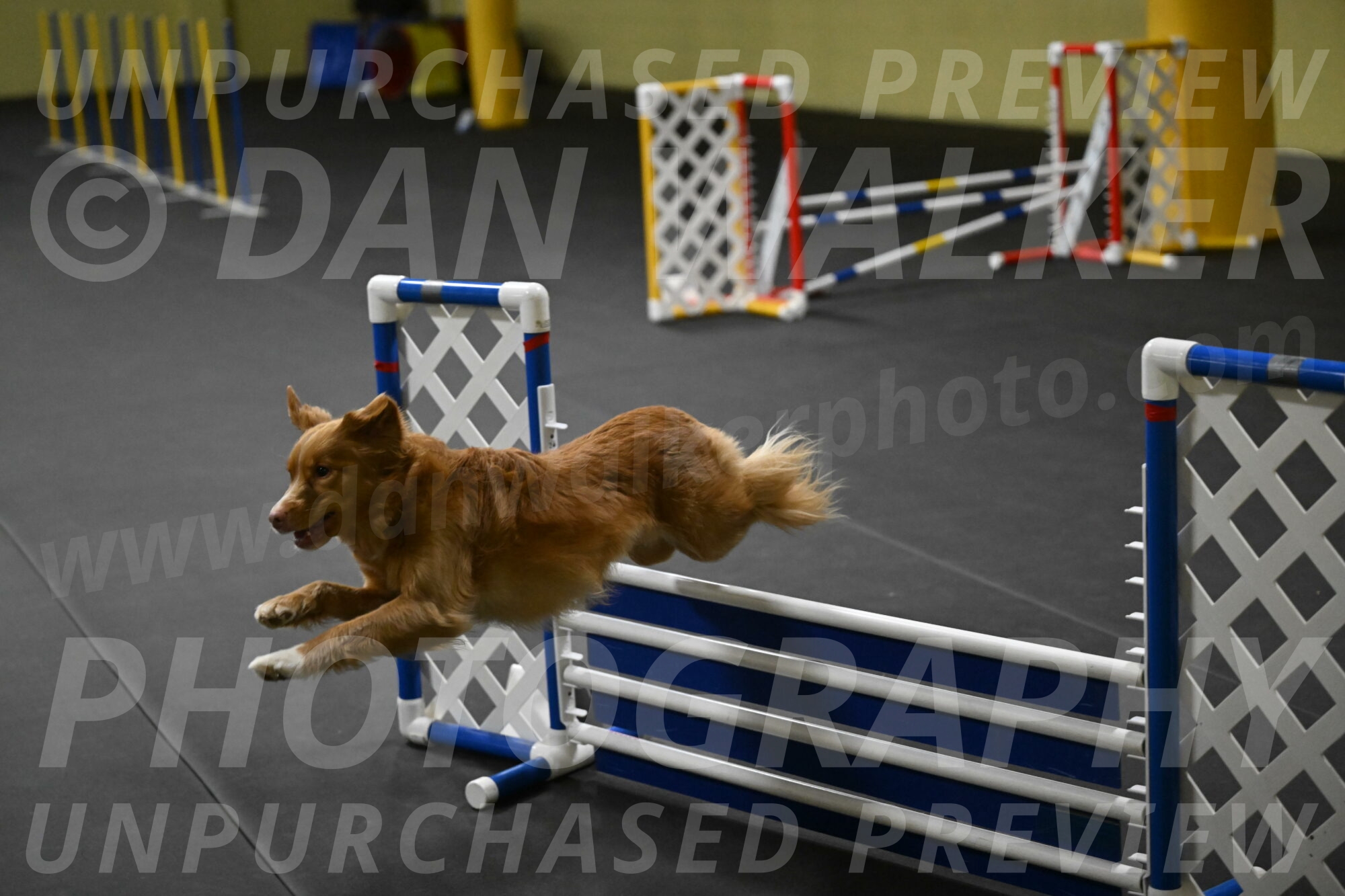 Gracie-Zielinski-09806